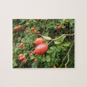 Juicy Red Rose Hips Puzzle