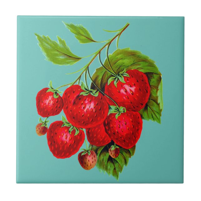 Juicy Red Strawberries Ceramic Tile (Front)