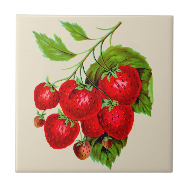 Juicy Red Strawberries Ceramic Tile (Front)