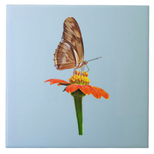 Julia Butterfly on Zinnia Ceramic Tile