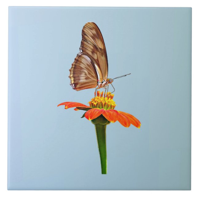 Julia Butterfly on Zinnia Ceramic Tile (Front)