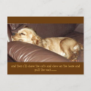 julie's journal postcard
