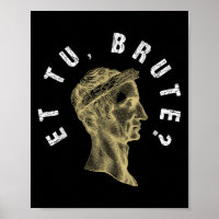 Julius Caesar Et Tu Brute Spqr Roman Empire Funny 
