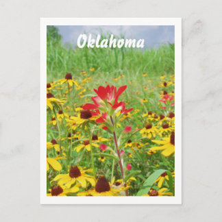 july2007 indian paintbursh, Oklahoma Postcard