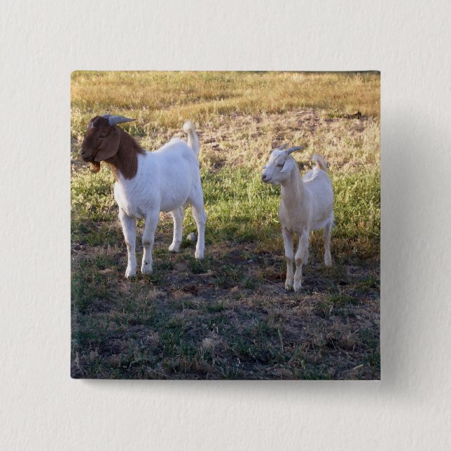 July2008_TwoGoats_v2 15 Cm Square Badge (Front)