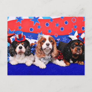 July 4th - Cavaliers - Rosie Poppy SweetPea Postcard