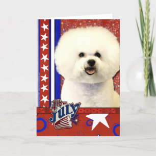 July 4th Firecracker - Bichon Frise Card
