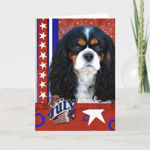 July 4th Firecracker - Cavalier - Tri-colour Card