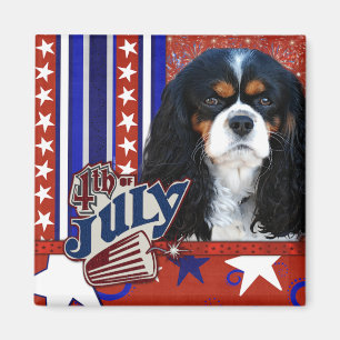 July 4th Firecracker - Cavalier - Tri-colour Magnet