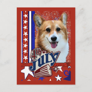 July 4th Firecracker - Corgi Postcard