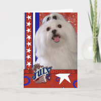 July 4th Firecracker - Maltese