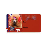 July 4th Firecracker - Poodle - Red