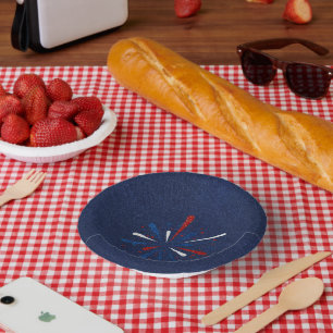 July 4th Fireworks Glitter Paper Plate