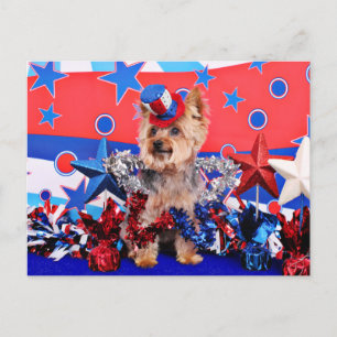 July 4th - Yorkie - Vinnie Postcard
