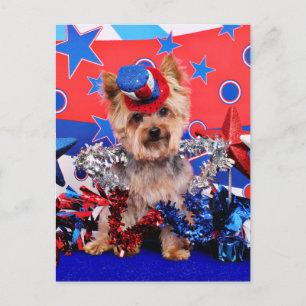 July 4th - Yorkie - Vinnie Postcard