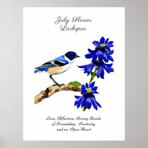 July Birth Month Flower Bluebird and Larkspur    Poster