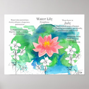 July Birthday Waterlily Larkspur Pond Flowers  Poster