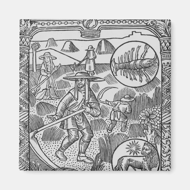 July, haymaking, Cancer Magnet (Front)