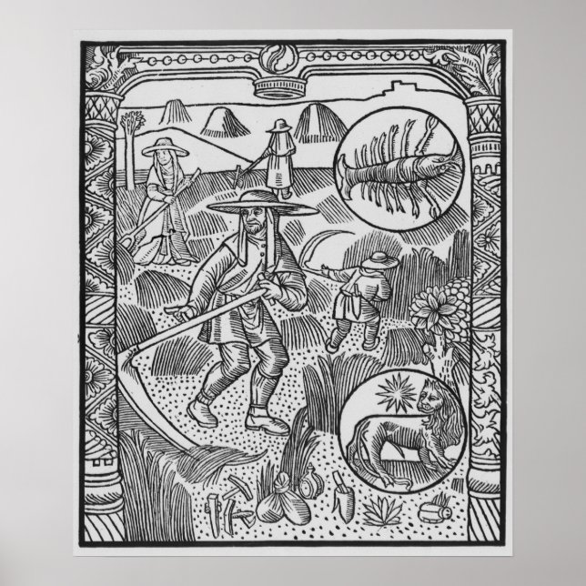 July, haymaking, Cancer Poster (Front)