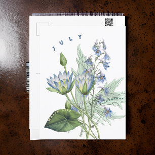 July Month Flowers Larkspur and Water Lily   Postcard
