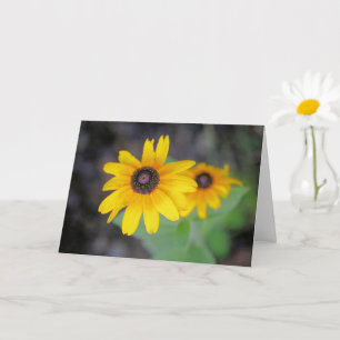 July offering card