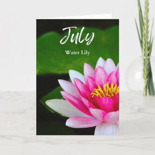 July Vibrant Pink Water Lily Birth Month Flower Card