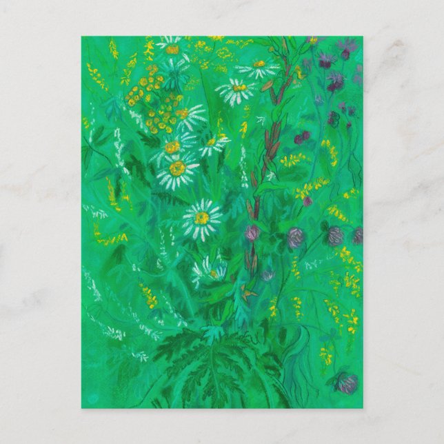 July Wildflowers, Summer Flowers Floral Painting Postcard (Front)