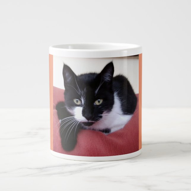 Jumbo Cat Photo Mug (Front)
