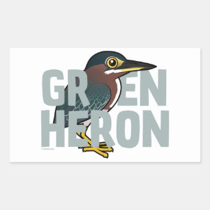 Jumbo Green Heron Rectangular Sticker