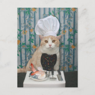 Jumbo Shrimpies! Postcard