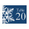 Jumbo Snowflake Table Numbers (Navy Blue / White)