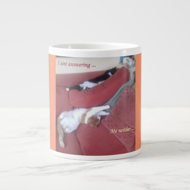 Jumbo Two Cats Napping Photo Mug (Front)