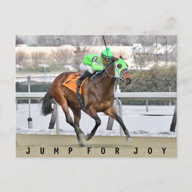 Jump for Joy -Reylu Gutierrez (1) Postcard (Front)