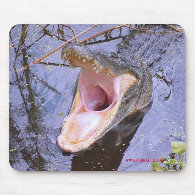 Jump In!  The Water's Fine! Mouse Pad (Front)