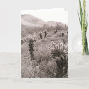 Jumping Cholla Cactus Desert Photo Greeting Card