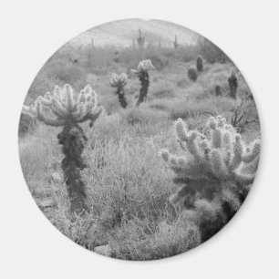 Jumping Cholla Cactus Desert Refrigerator Magnet