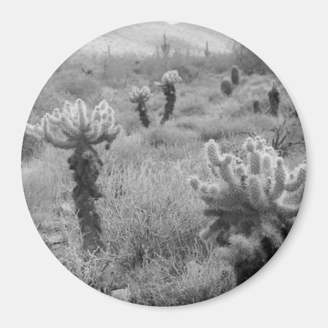 Jumping Cholla Cactus Desert Refrigerator Magnet (Front)