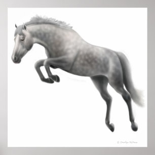 Jumping Dappled Grey Horse Poster