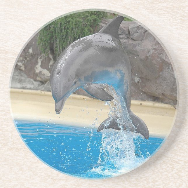 Jumping Dolphin Coaster (Front)