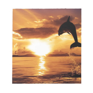 jumping dolphin with beautiful sunset over the sea notepad