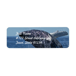Jumping Humpback Whale Mailing Labels