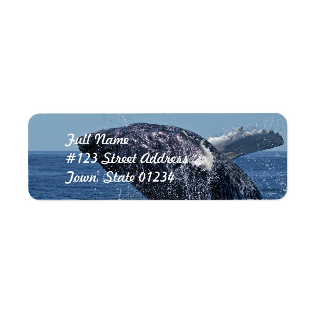 Jumping Humpback Whale  Mailing Labels (Front)
