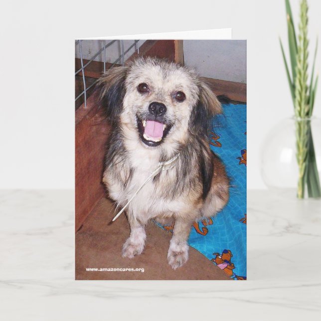 Jumping Jack Flash Greeting Card (Front)