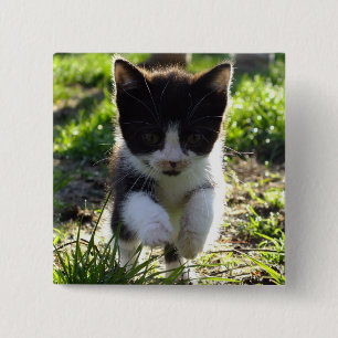 Jumping Kitty 15 Cm Square Badge