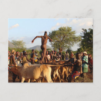 Jumping of the Bulls Ceremony Postcard