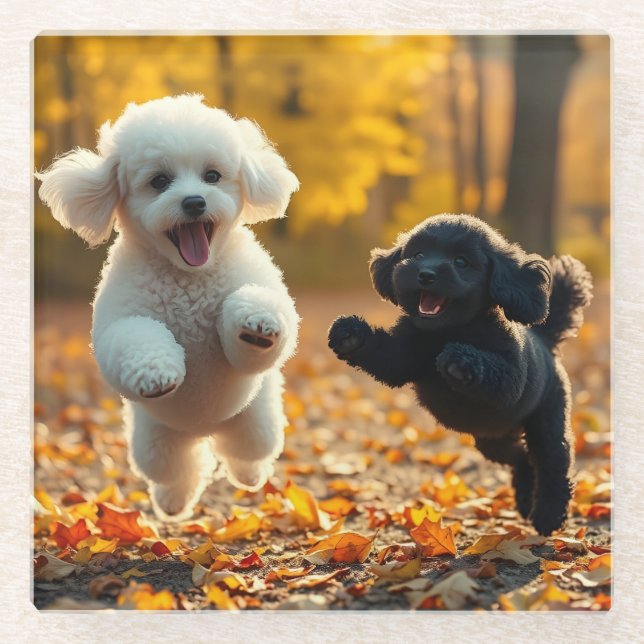 Jumping Poodle Puppies Glass Coaster (Front)