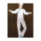 Jumping Sailor