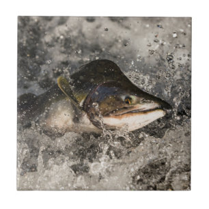 Jumping Salmon Ceramic Tile