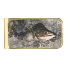 Jumping Salmon
