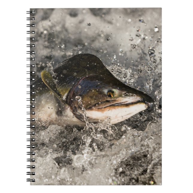 Jumping Salmon Notebook (Front)